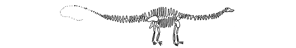 Diplo