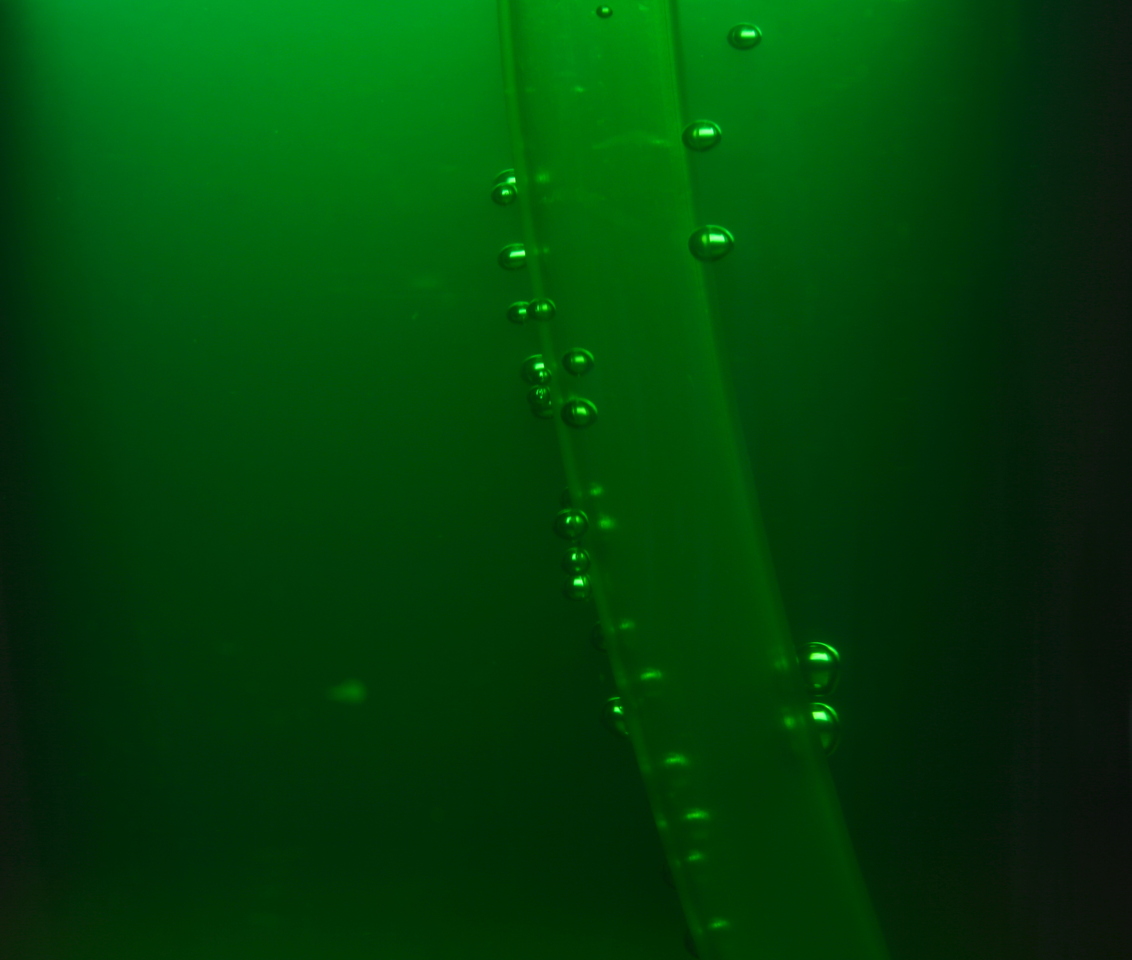 Photo description: fluido espeso y verde, en el que hay sumergido un tubo y burbujas alrededor