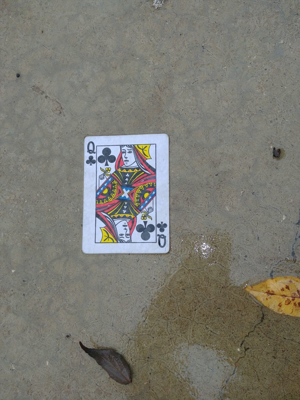 Photo description: Finding these cards on the park floor on such a gloomy day felt like meeting your destiny at every step and realising that it is all random.