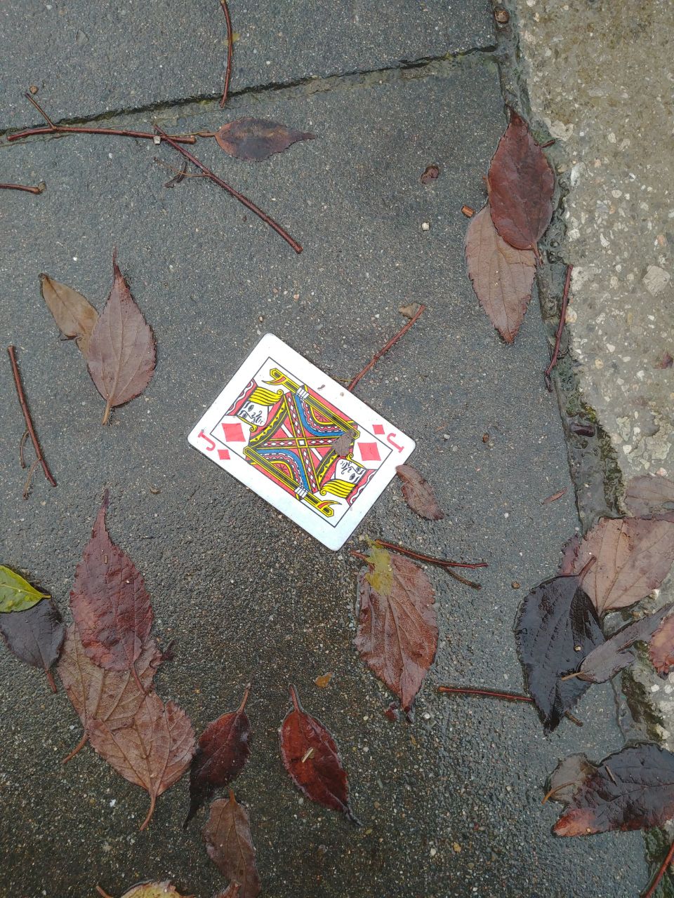 Photo description: Finding these cards on the park floor on such a gloomy day felt like meeting your destiny at every step and realising that it is all random.