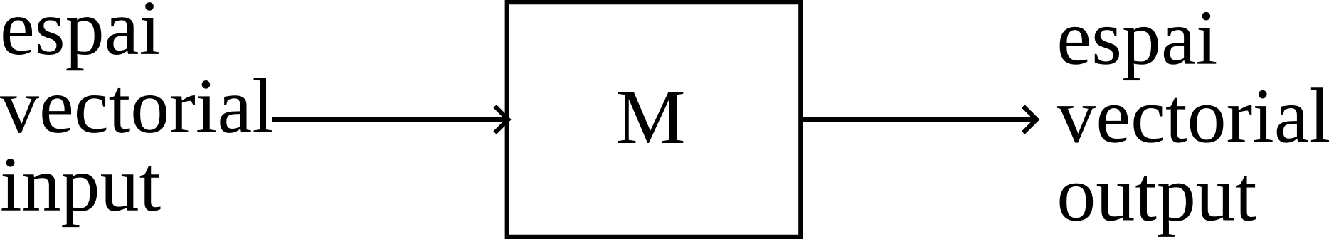 matriu com a màquina