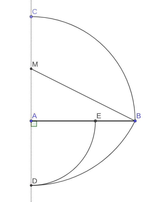 Divisió àuria d'un segment 