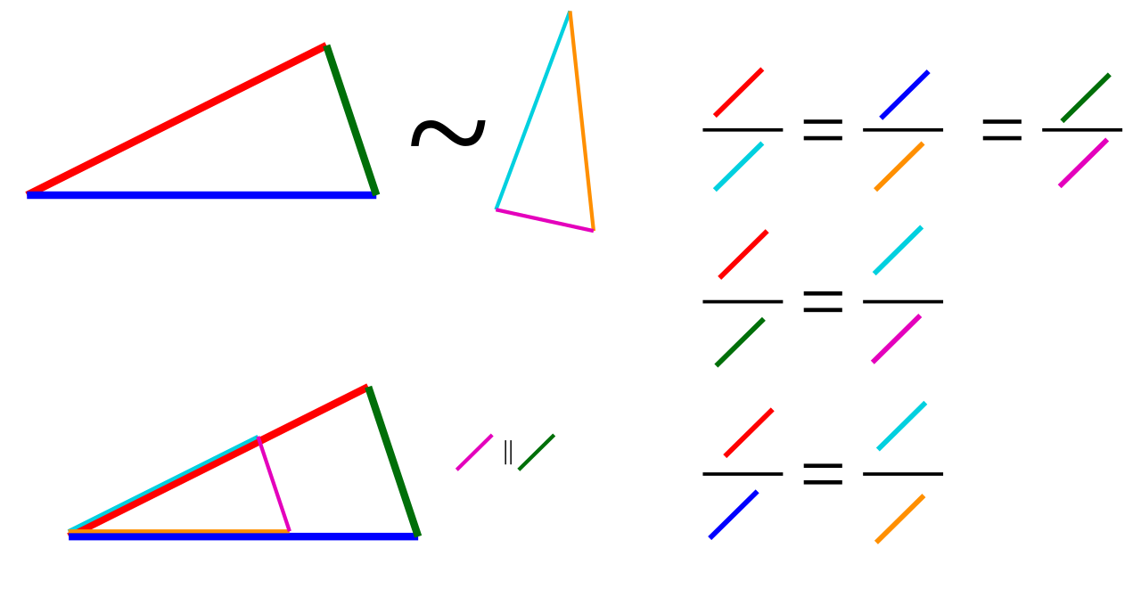 proporcions amb colors